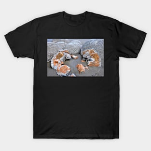 Moeraki Boulders, rochers sphériques , Nouvelle-Zélande T-Shirt